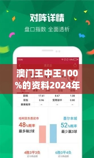 2024年王中王澳门免费大全-精选解释解析落实