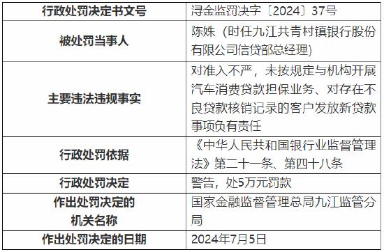 新澳门最新开奖结果记录历史查询，解析与落实精选解释